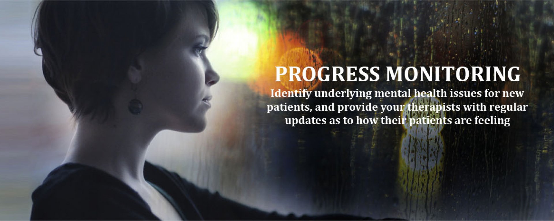 Progress Monitoring Vista Research Group Progress Monitoring Vista Research Group