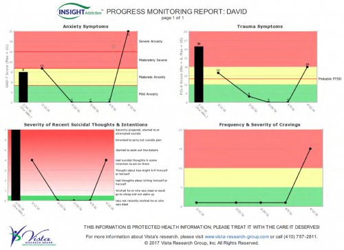 Progress Monitoring Report: David