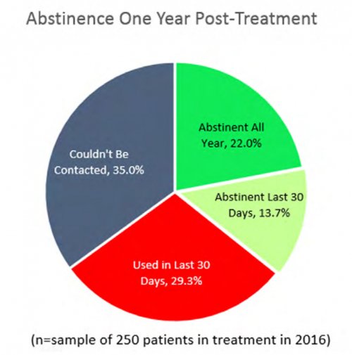 Abstinence One Year Post-Treatment