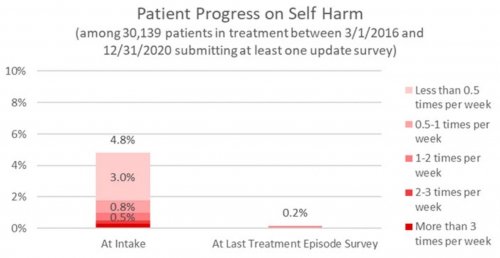 Patient Progress on Self Harm