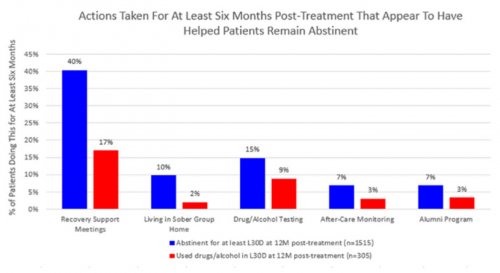 Actions Taken For At Least Six Months Post-Treatment That Appear To Have Helped Patients Remain Abstinent